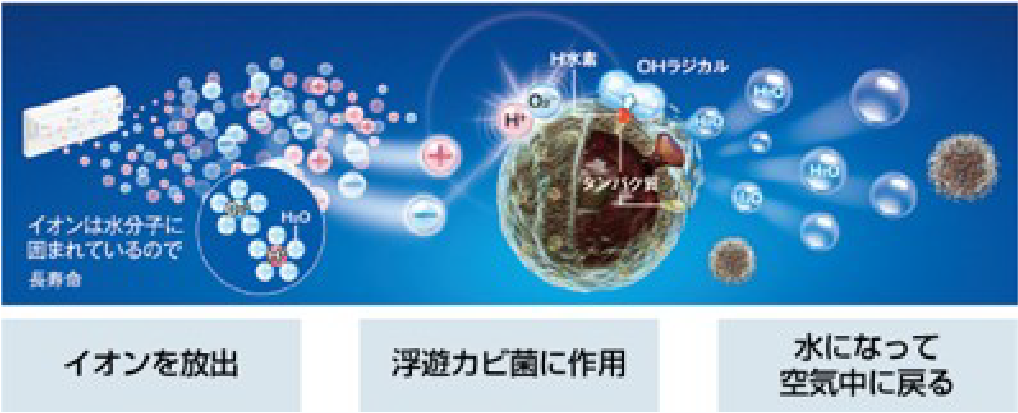 食洗機内のカビの発生を抑止
