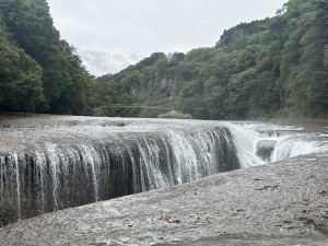 お出掛けしてきました！