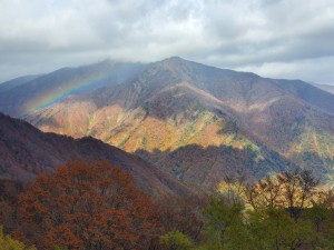 みなかみへ紅葉を見に行ってきました