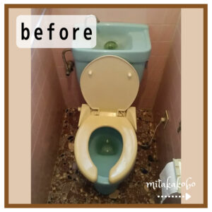 前橋市N様邸【トイレ交換工事】