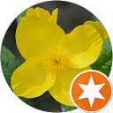 7Go! R. profile picture