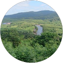 W. F. profile picture