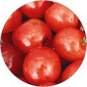 utah H. profile picture